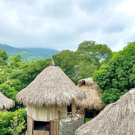 Ecocabanas Diosa Jaguar Tayrona La Esmeralda  Ngoại thất bức ảnh