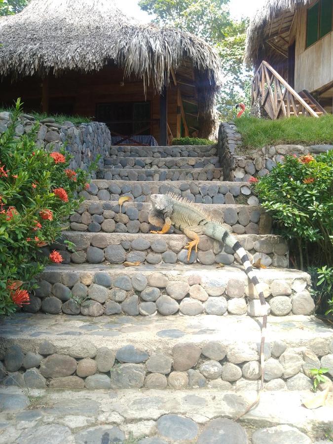 Ecocabanas Diosa Jaguar Tayrona La Esmeralda  Ngoại thất bức ảnh