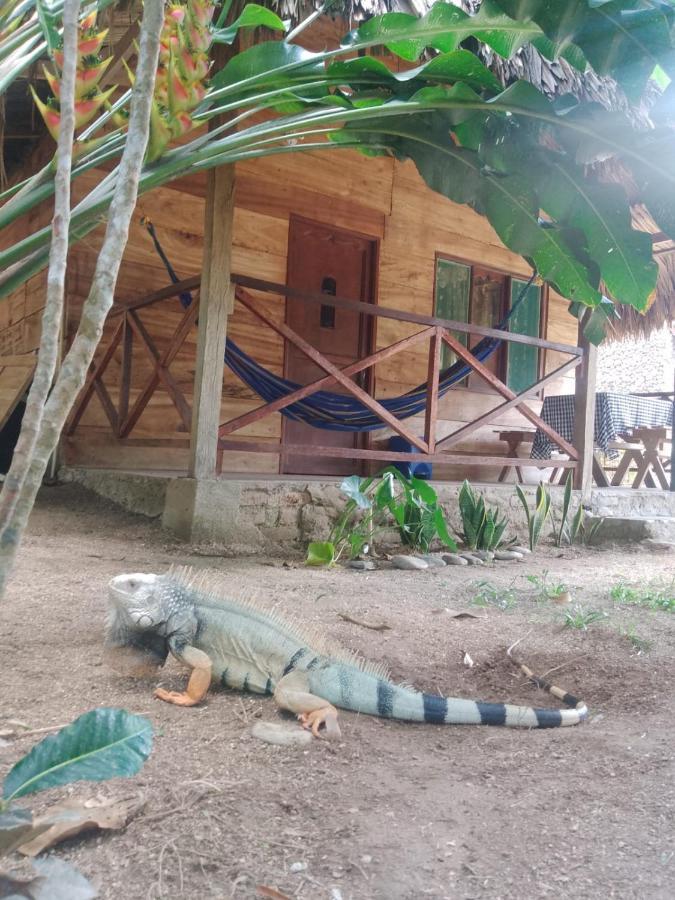 Ecocabanas Diosa Jaguar Tayrona La Esmeralda  Ngoại thất bức ảnh