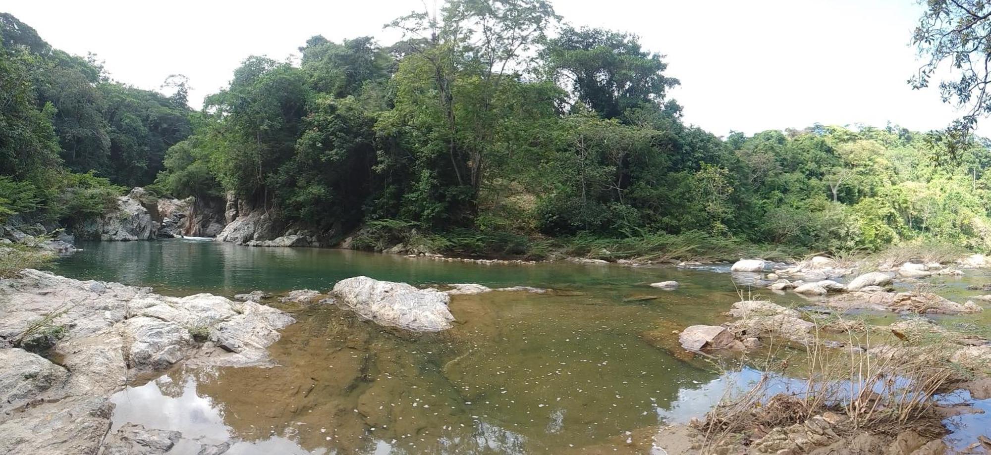 Ecocabanas Diosa Jaguar Tayrona La Esmeralda  Ngoại thất bức ảnh