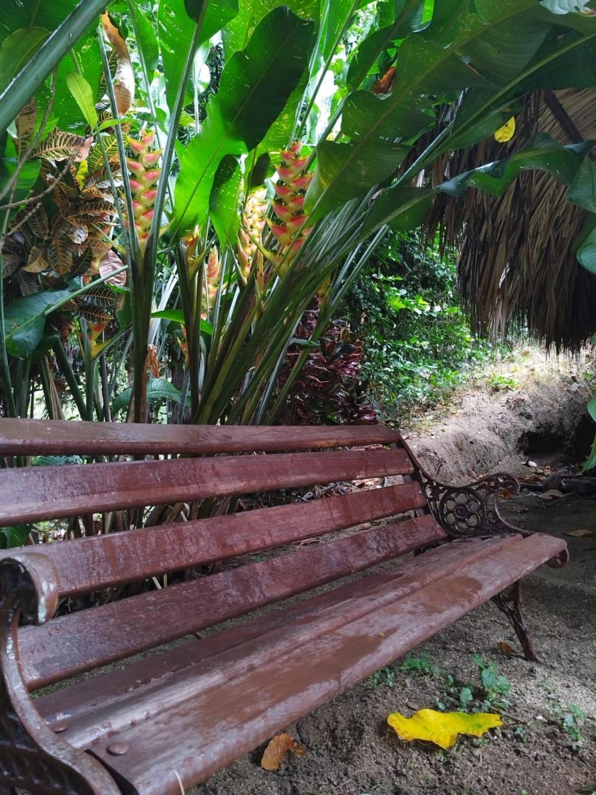 Ecocabanas Diosa Jaguar Tayrona La Esmeralda  Phòng bức ảnh