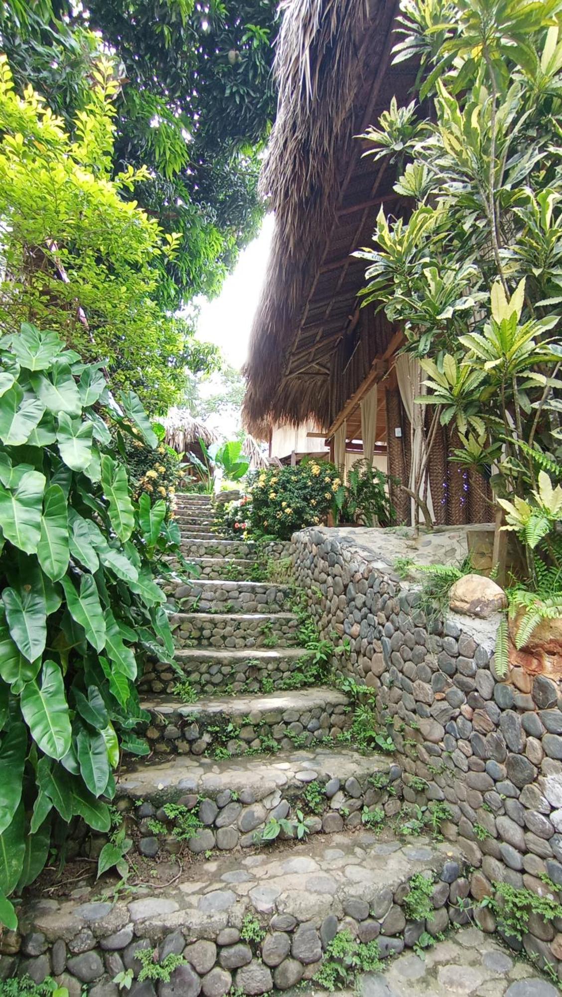 Ecocabanas Diosa Jaguar Tayrona La Esmeralda  Ngoại thất bức ảnh