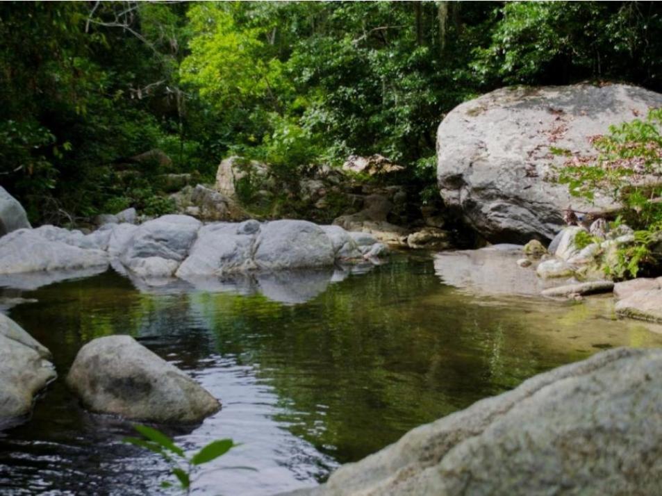 Ecocabanas Diosa Jaguar Tayrona La Esmeralda  Ngoại thất bức ảnh