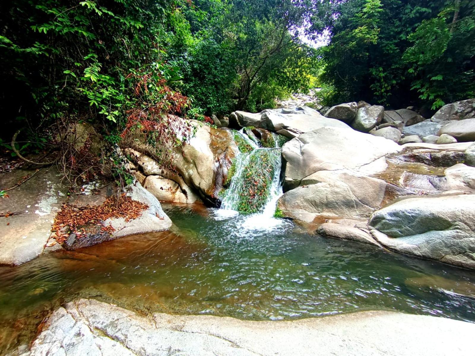 Ecocabanas Diosa Jaguar Tayrona La Esmeralda  Ngoại thất bức ảnh