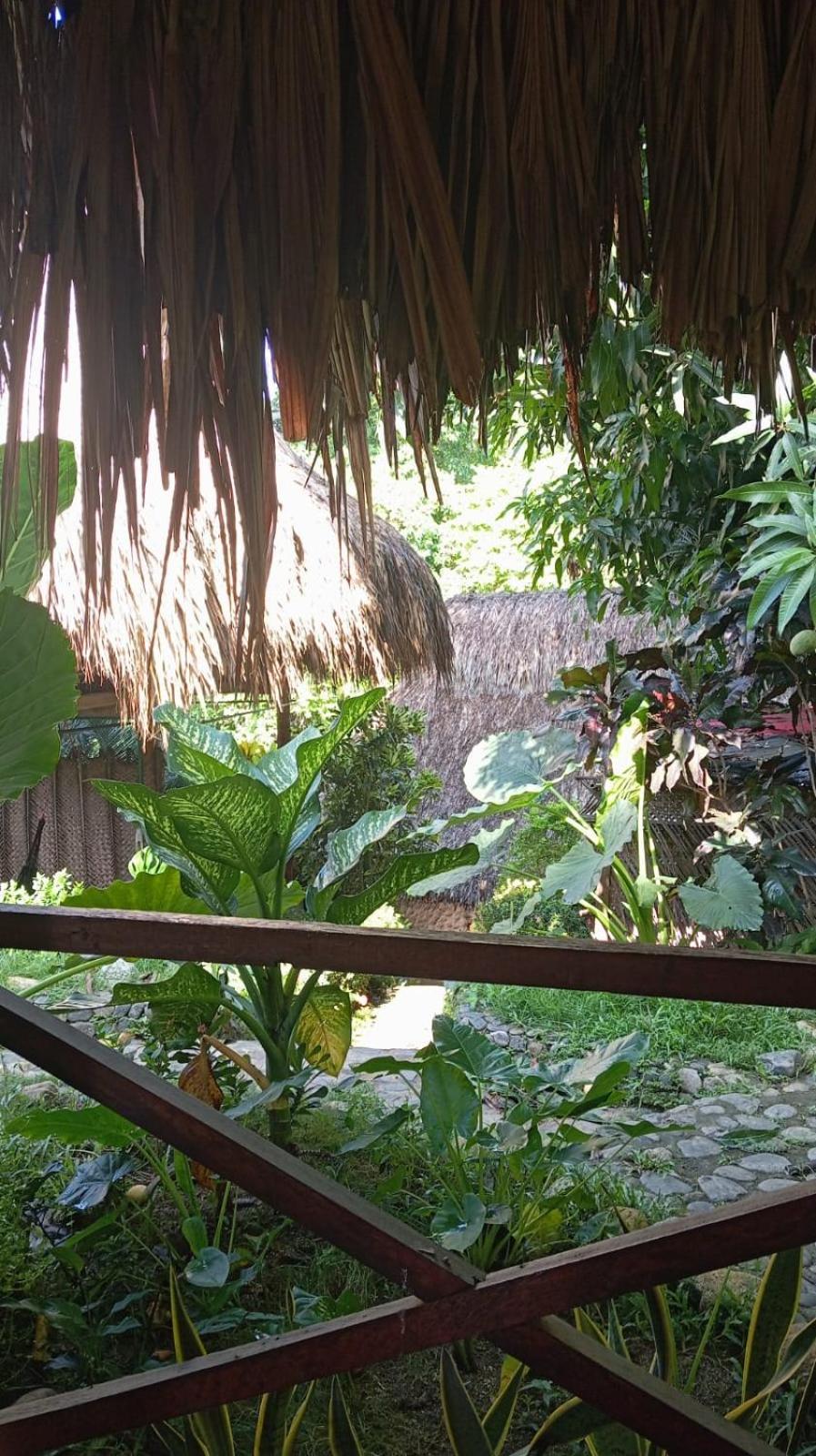 Ecocabanas Diosa Jaguar Tayrona La Esmeralda  Ngoại thất bức ảnh